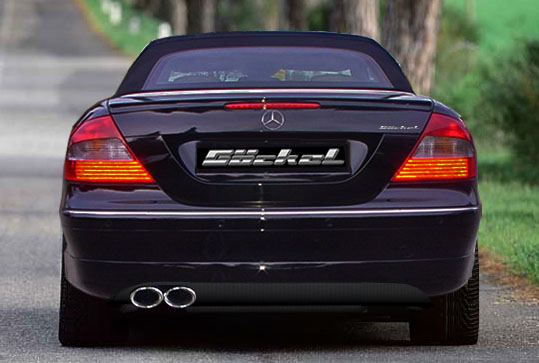 Sportauspuff goeckel