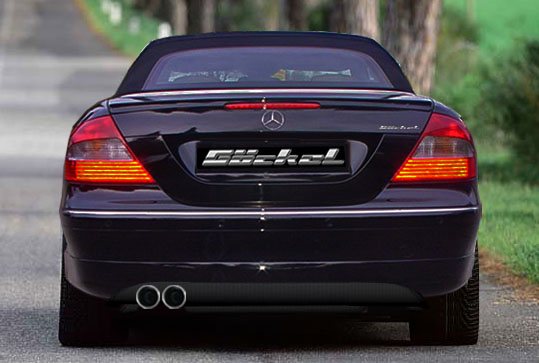 Sportauspuff goeckel