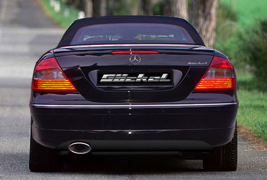 Sportauspuff goeckel