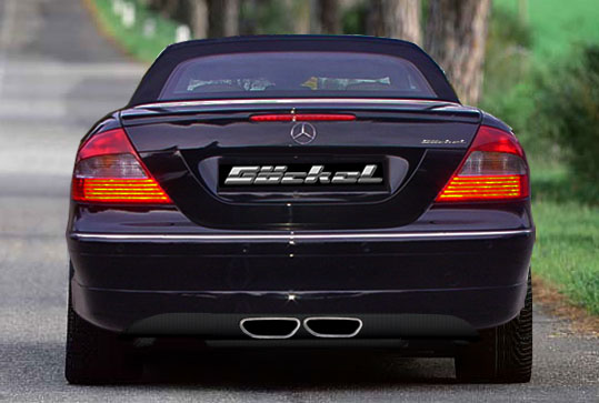 Sportauspuff goeckel