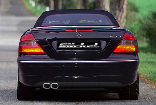 Sportauspuff goeckel