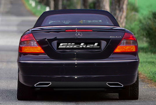 Sportauspuff goeckel