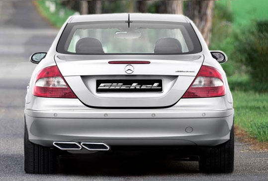 Sportauspuff goeckel