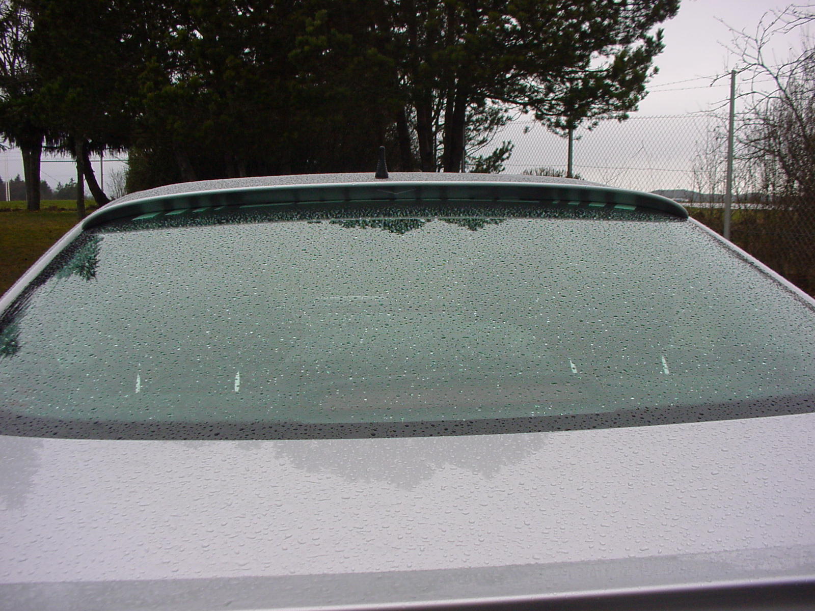 Dach Spoiler Heckscheibenblende clk w208